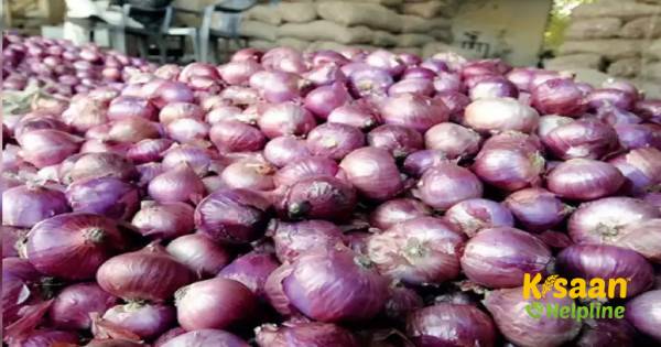 केंद्र ने प्याज की बढ़ती कीमतों की जांच के लिए राज्यों / केंद्रशासित प्रदेशों को बफर स्टॉक प्याज प्रदान किया